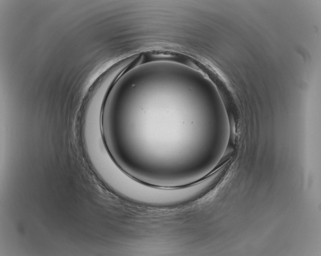 X0000113600877200909181349