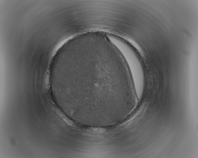 X0000113600878200909181349