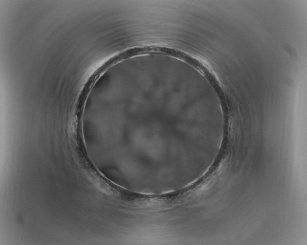 X0000113600879200909181349