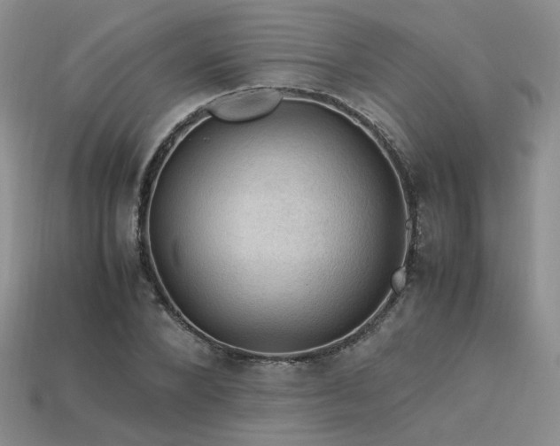 X0000113600880200909181349