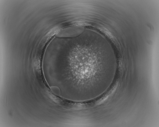 X0000113600881200909181349