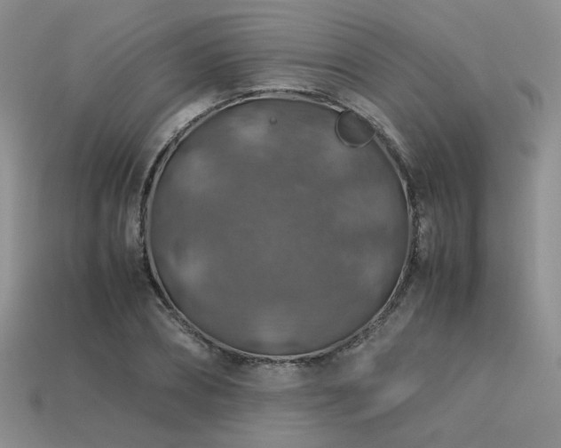 X0000113600882200909181349