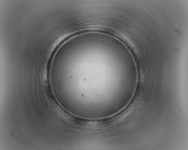 X0000113600883200909181349