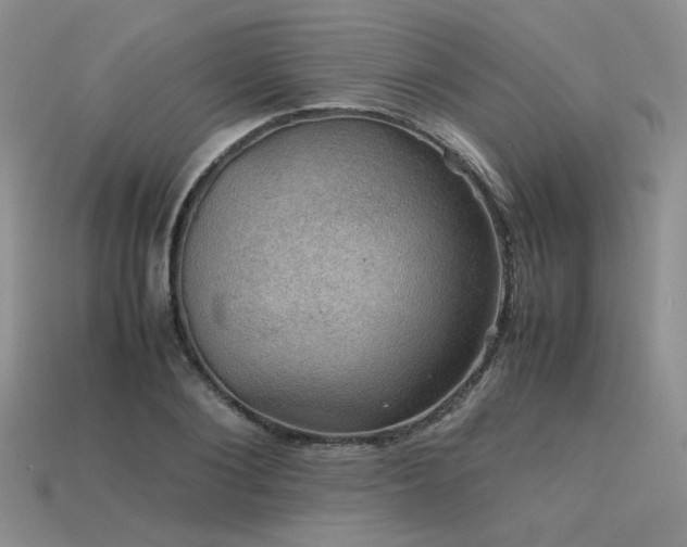 X0000113600884200909181349