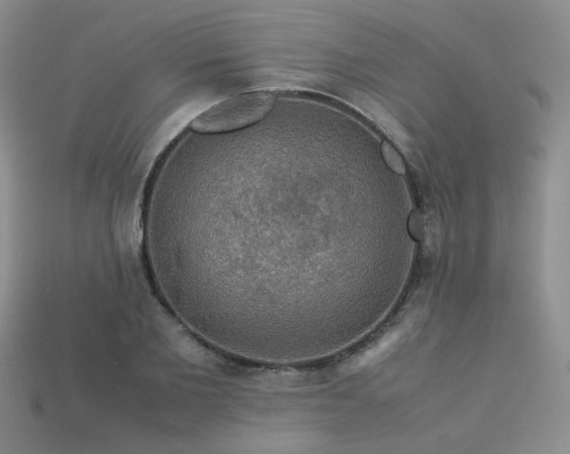 X0000113600885200909181349