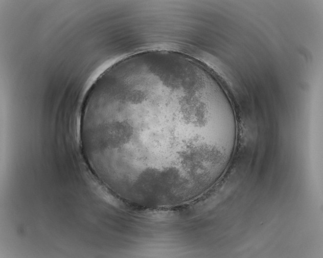 X0000113600886200909181349