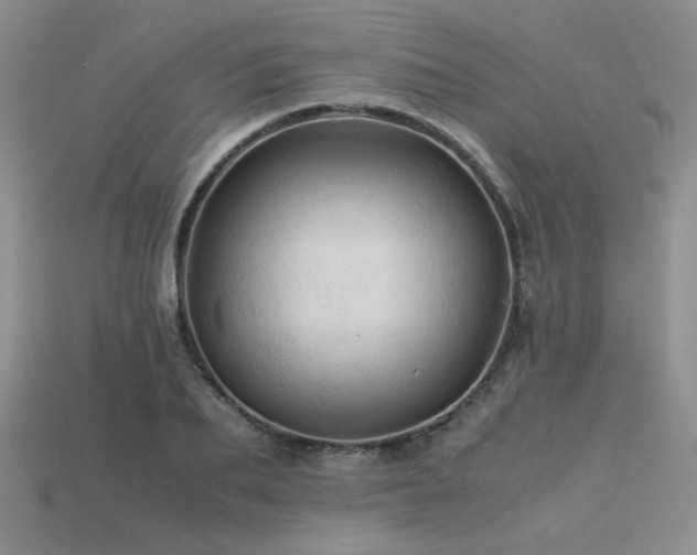 X0000113600887200909181349