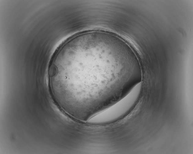 X0000113600888200909181349