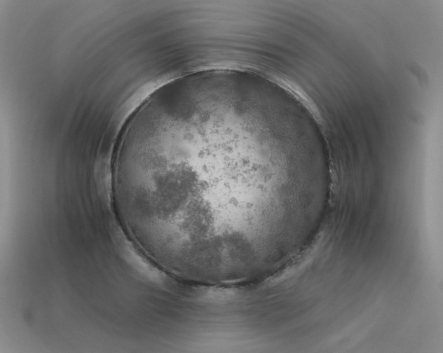 X0000113600890200909181349