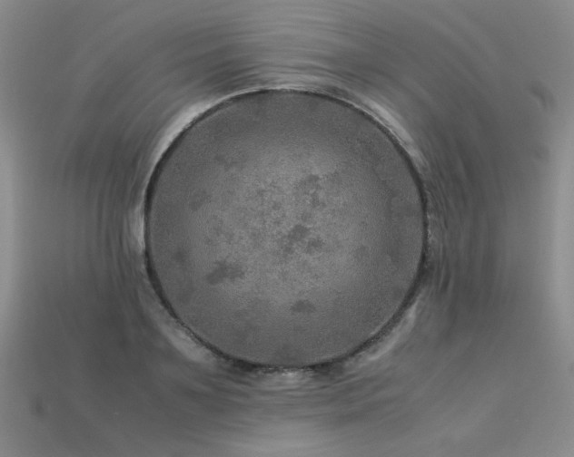 X0000113600891200909181349