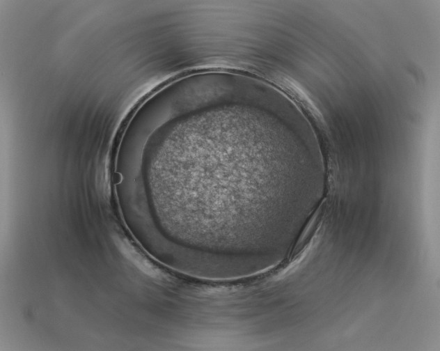 X0000113600892200909181349