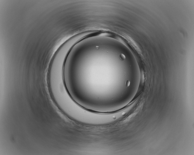 X0000113600893200909181349