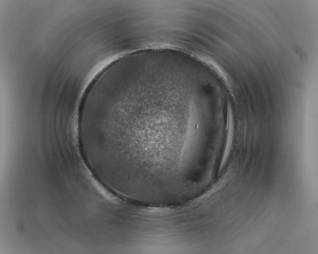 X0000113600894200909181349