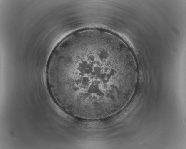 X0000113600895200909181349