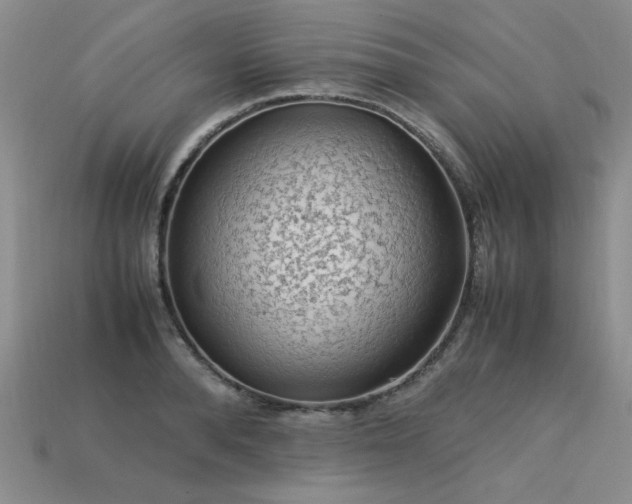 X0000113600896200909181349