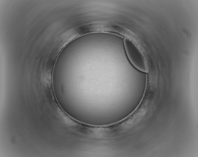 X0000113600897200909181349