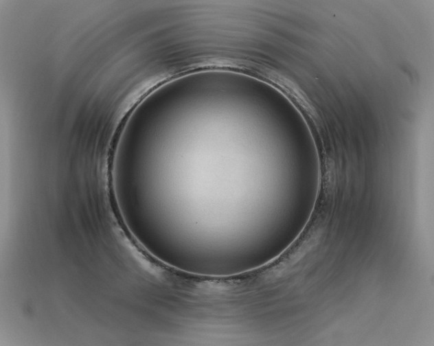 X0000113600898200909181349