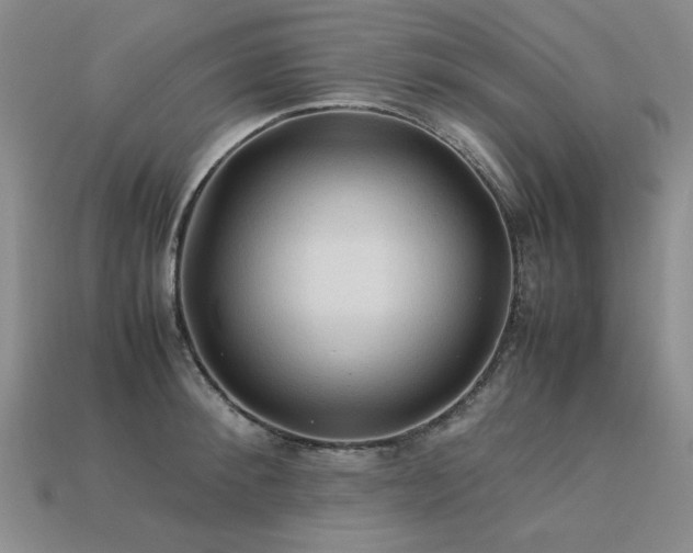 X0000113600900200909181349