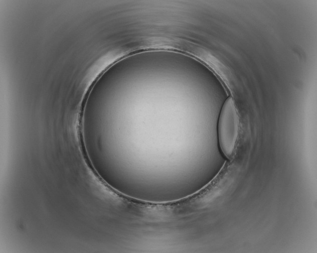 X0000113600901200909181349