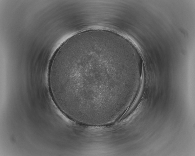 X0000113600902200909181349