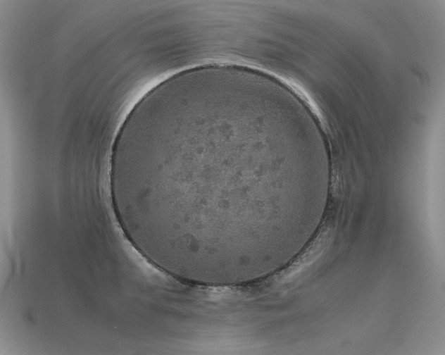 X0000113600903200909181349