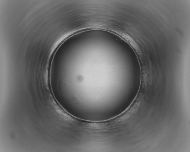 X0000113600904200909181349