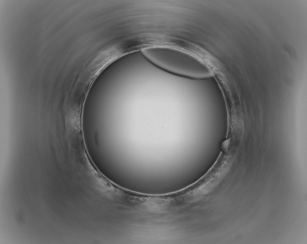 X0000113600905200909181349