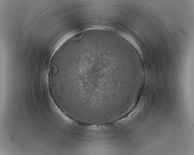 X0000113600906200909181349