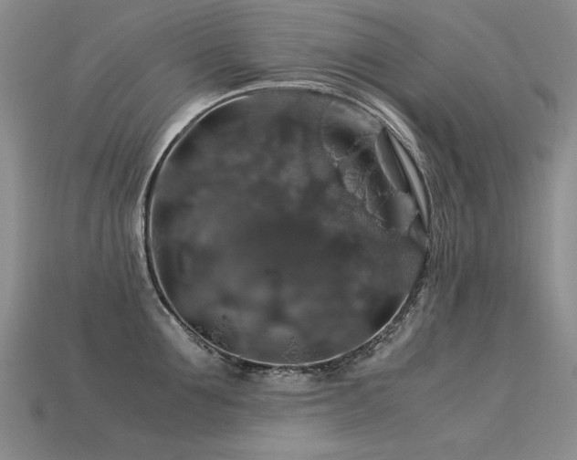 X0000113600907200909181349