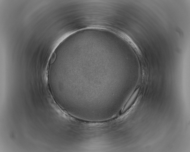 X0000113600908200909181349