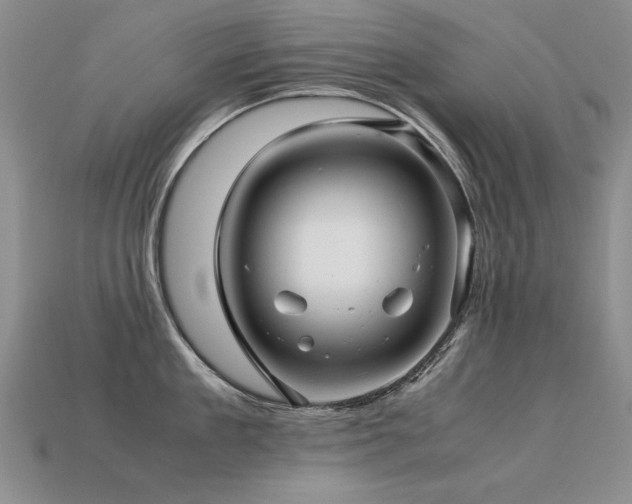 X0000113600909200909181349