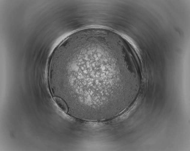 X0000113600910200909181349