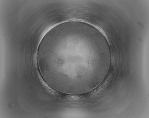 X0000113600911200909181349