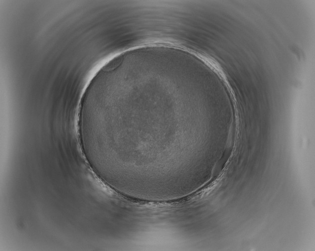 X0000113600912200909181349