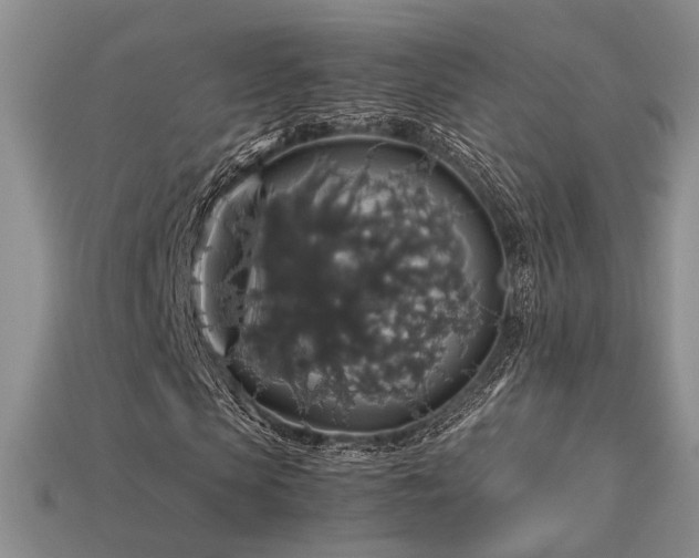 X0000113600913200909181348