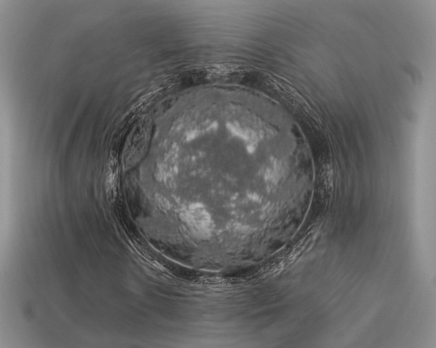 X0000113600914200909181348