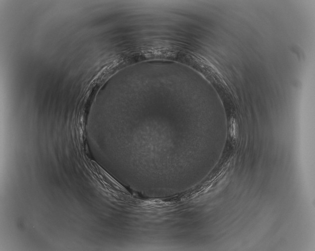 X0000113600915200909181348