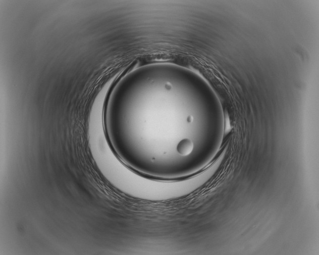 X0000113600916200909181348