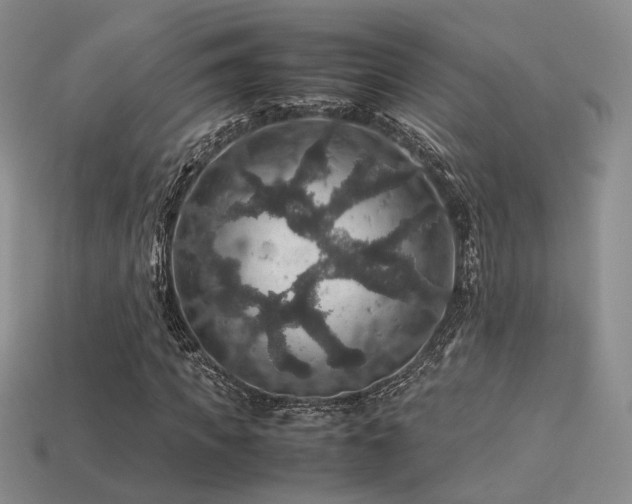 X0000113600917200909181348