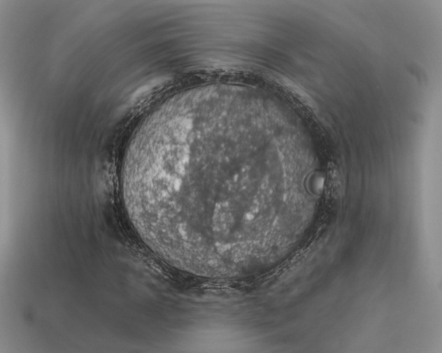 X0000113600918200909181348