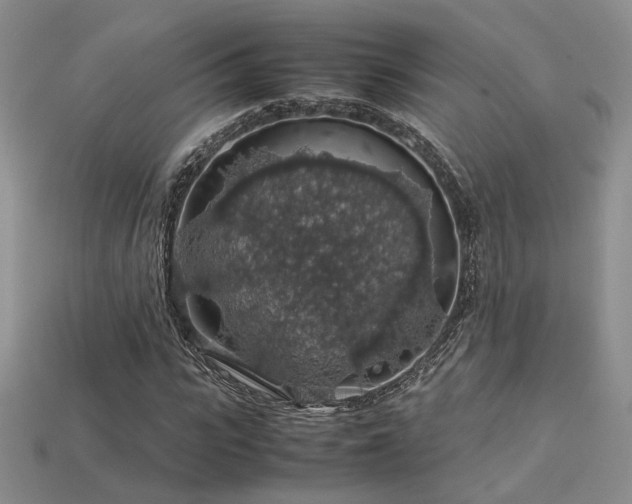 X0000113600919200909181348