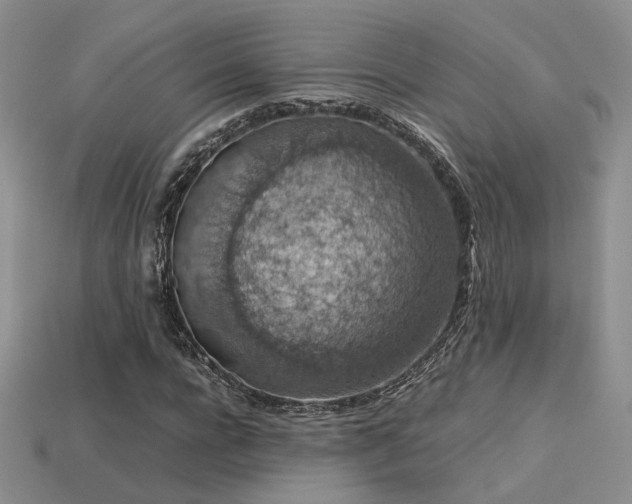 X0000113600920200909181348