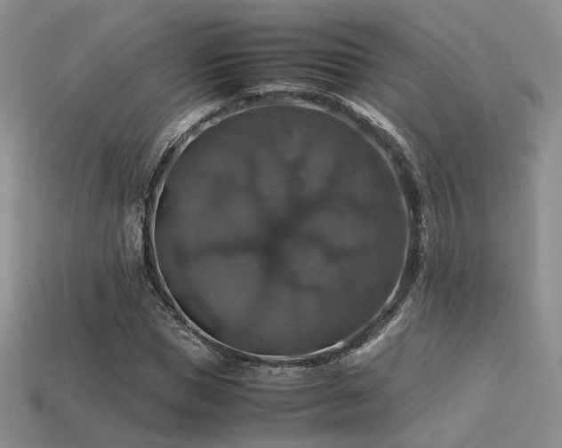 X0000113600921200909181348