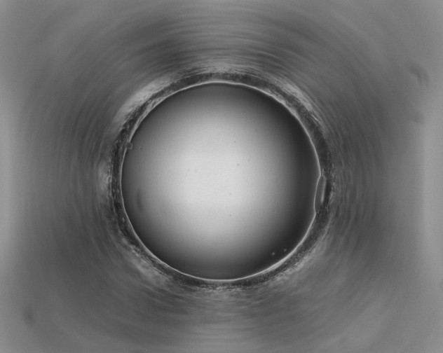 X0000113600922200909181348