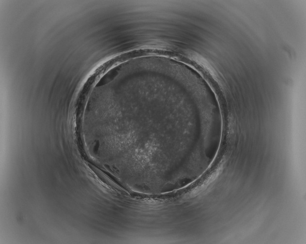 X0000113600923200909181348