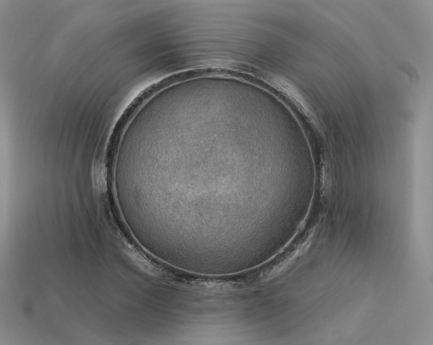 X0000113600924200909181348