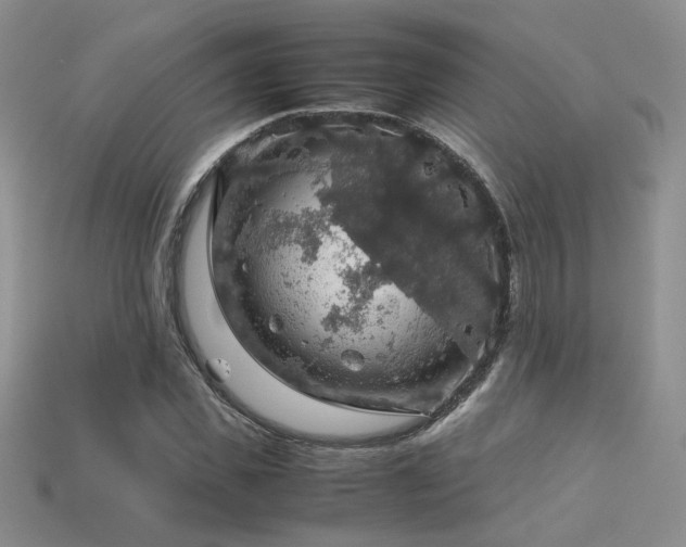 X0000113600925200909181348