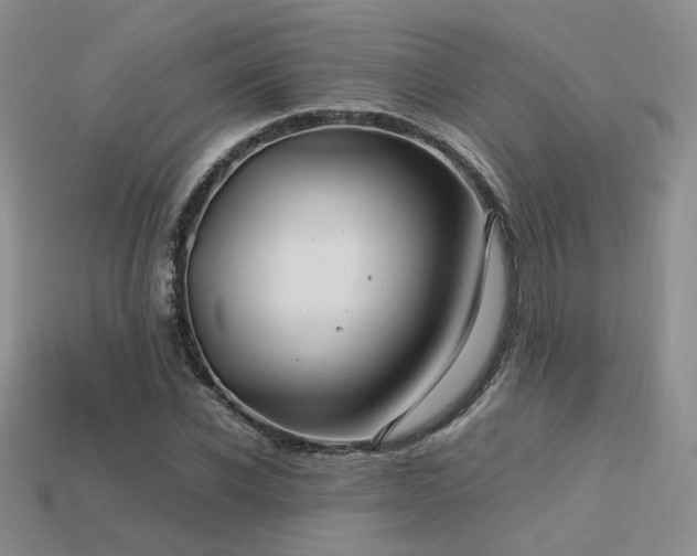 X0000113600926200909181349