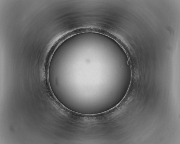 X0000113600927200909181349