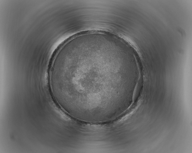 X0000113600928200909181349